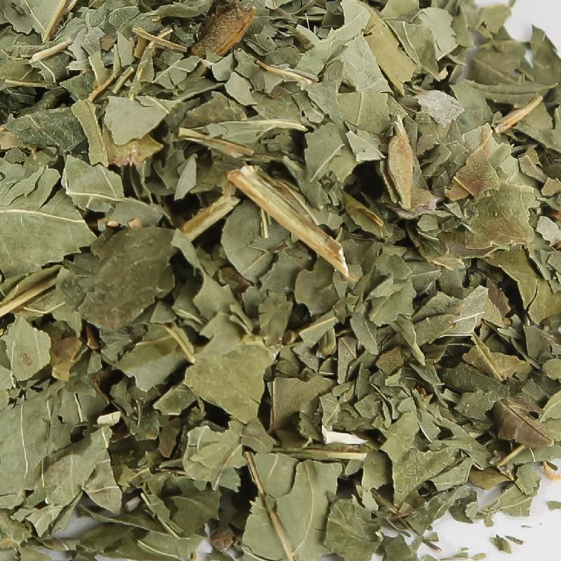 Frêne BIO - feuille Frêne BIO - feuille