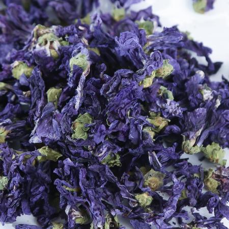 Mauve BIO - fleur