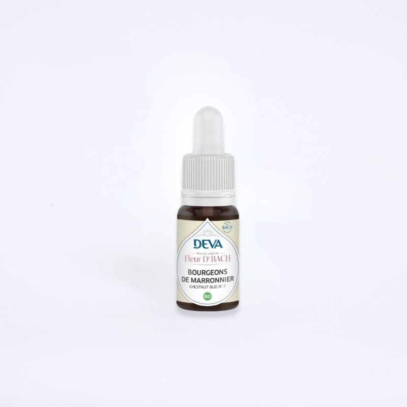 Flacon de fleur de bach, extrait de bourgeons de marronier en 15 ml