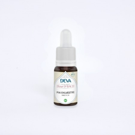 Flacon de fleur de bach "pin sylvestre", 15 ml