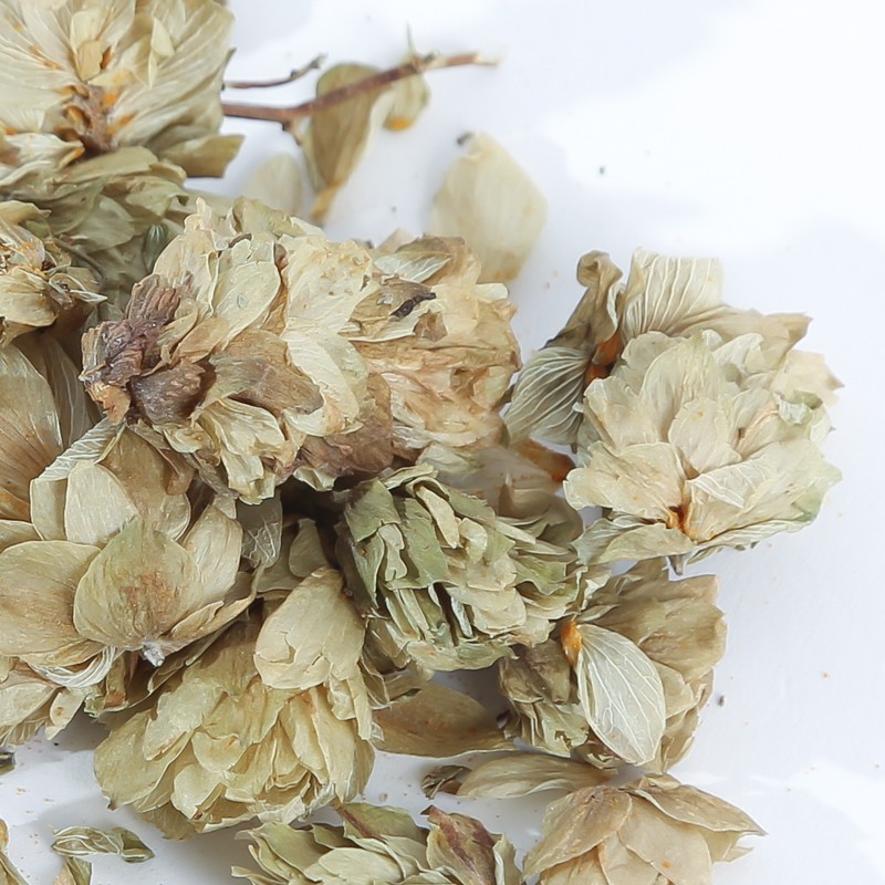 Cône de Houblon BIO