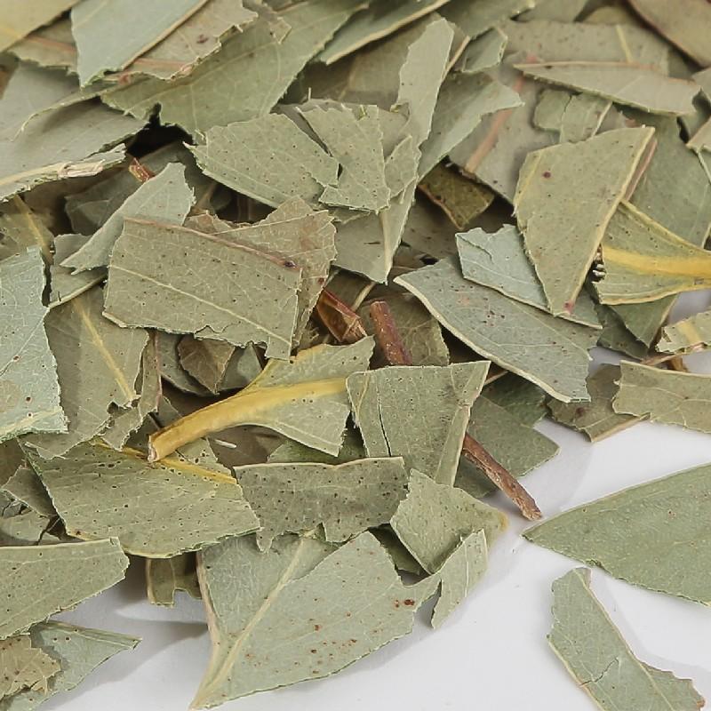 Eucalyptus BIO - feuille coupée 100g Eucalyptus BIO - feuille coupée 100g