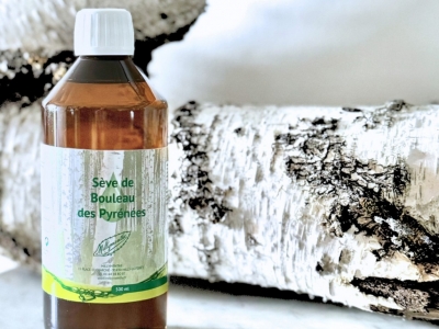 Sève de bouleau : quels sont ses bienfaits pour l’organisme ?