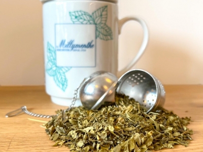 Les feuilles de Moringa, l’allié écologique pour votre bien-être
